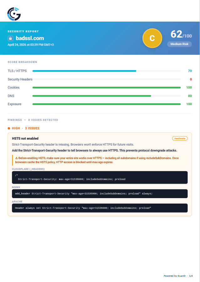 Branded PDF security report with agency logo top-left — C grade site showing multiple findings
