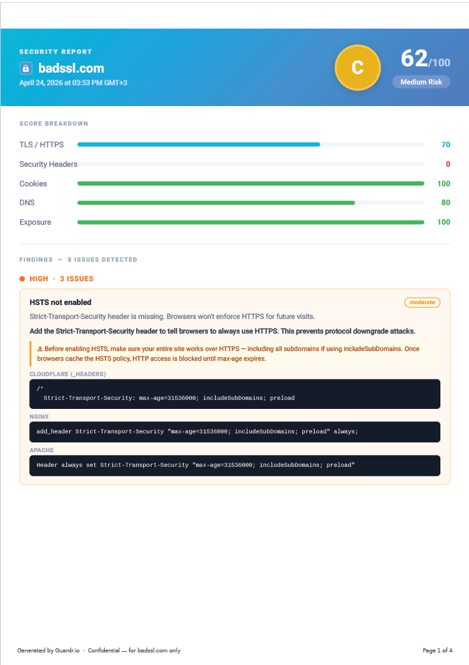 PDF security report for badssl.com — C grade, 62/100 score showing 8 issues across high, medium and low severity